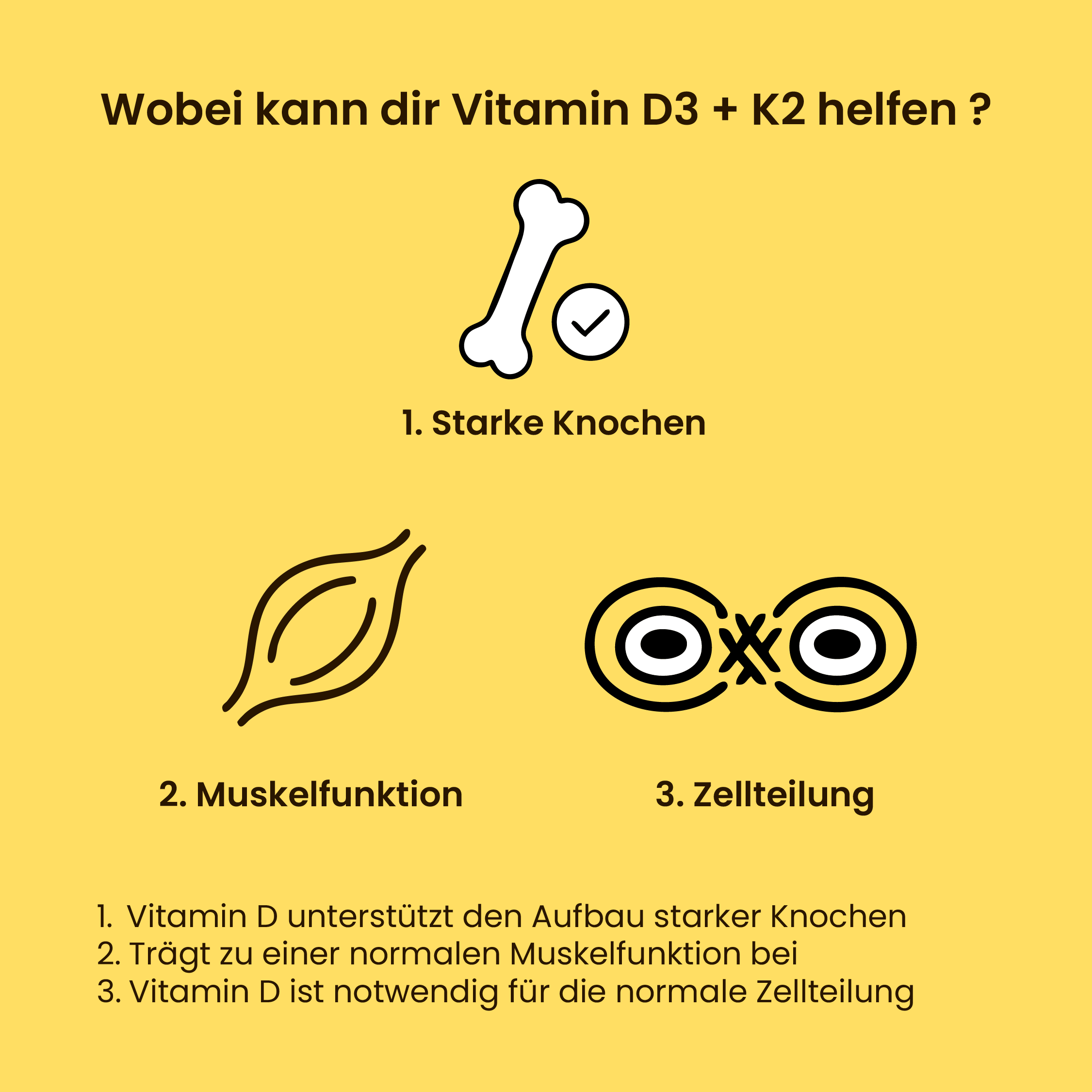 Dr. Hatun Vitamin Set